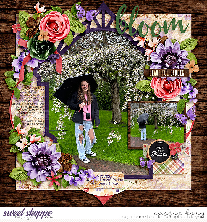 Bloom