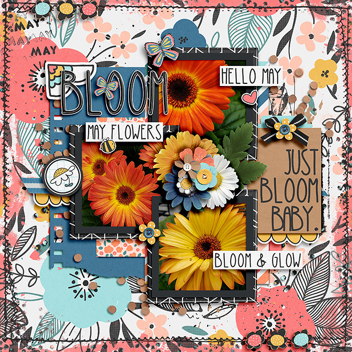 Bloom