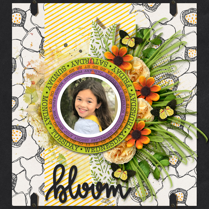 Bloom