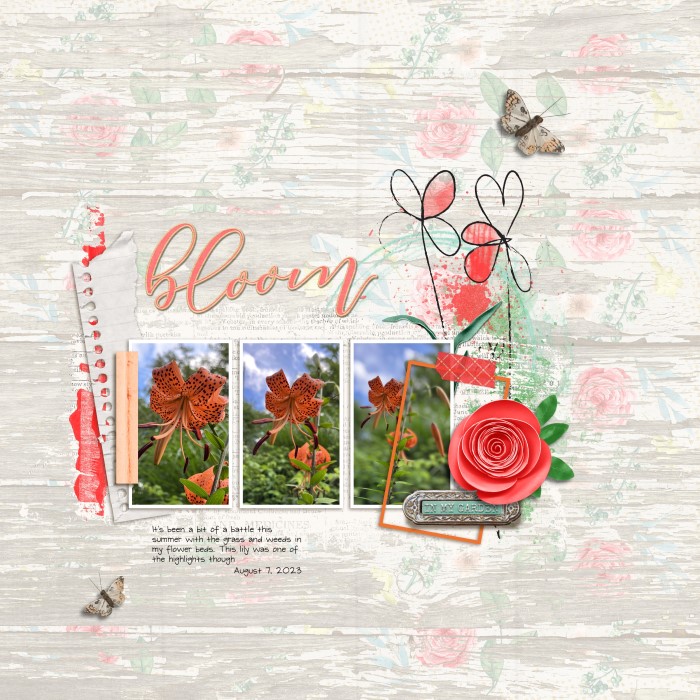 Bloom