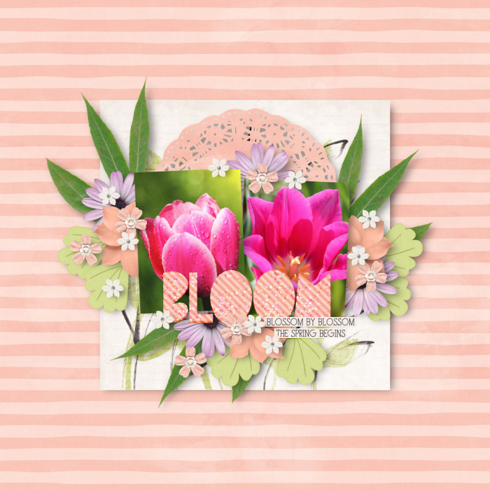Bloom