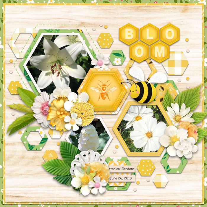 Bloom