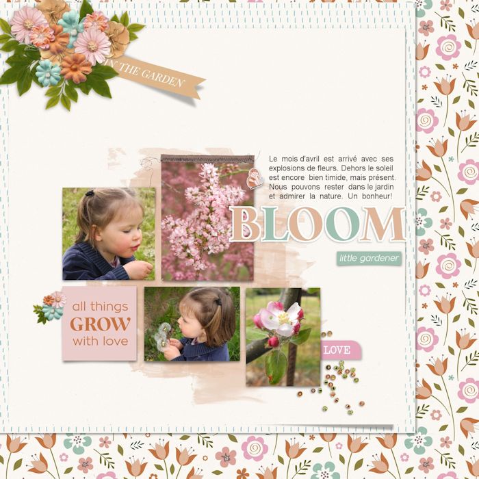 Bloom