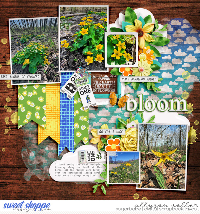 Bloom