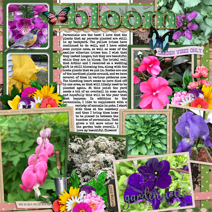 Bloom