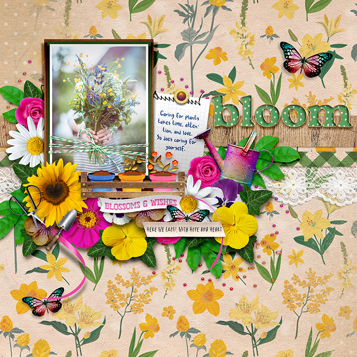 bloom