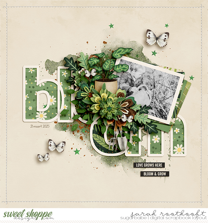 Bloom