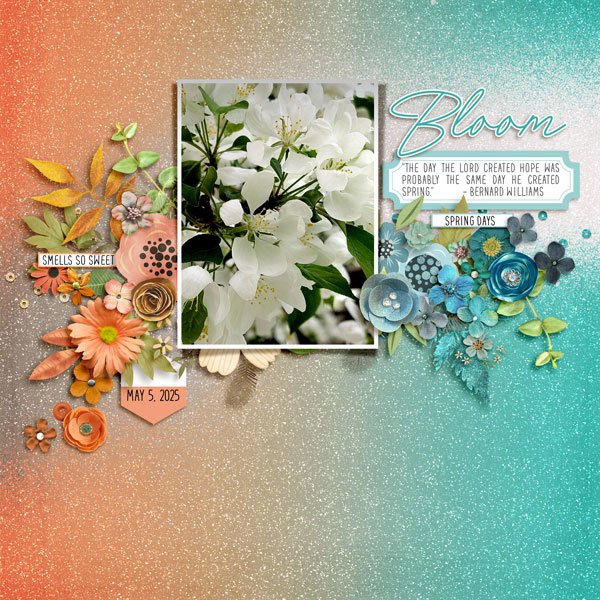 bloom
