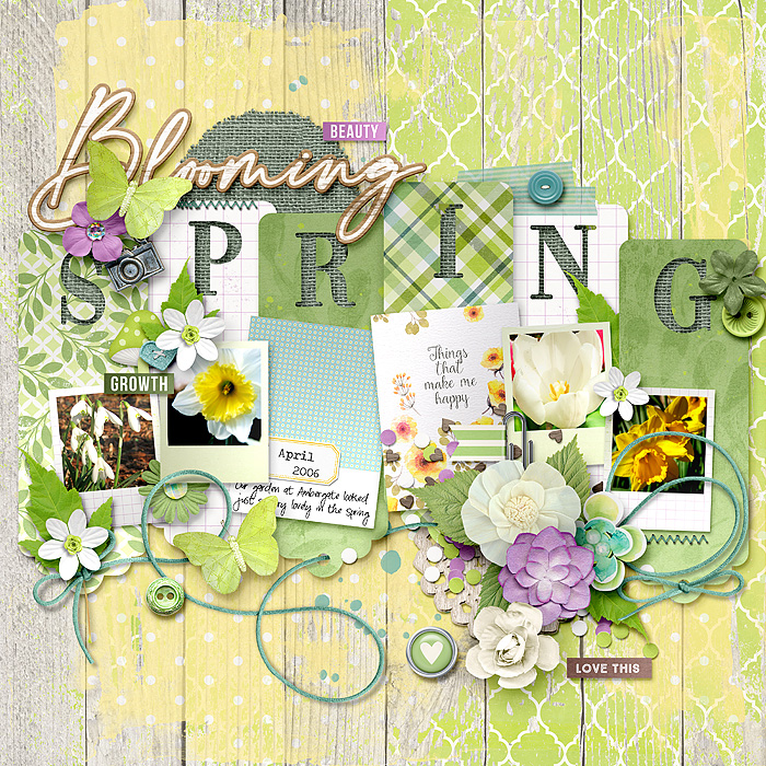 Blooming Spring