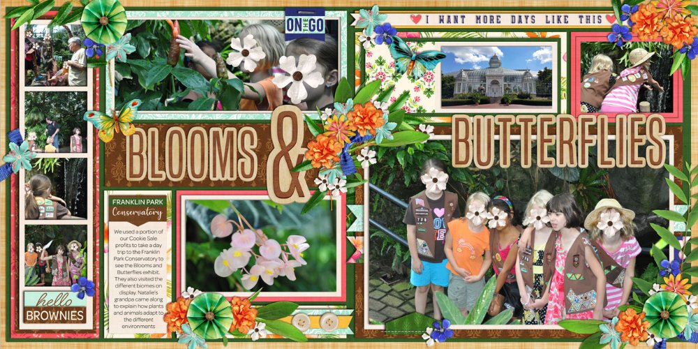 Blooms and Butterflies