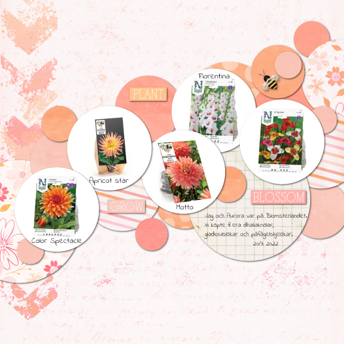Blooms to plant