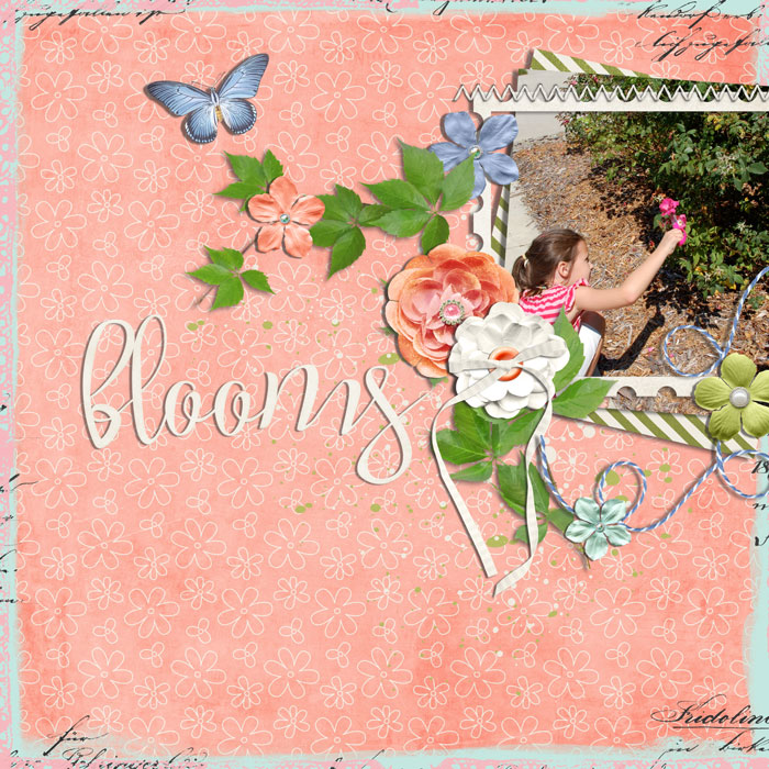 blooms