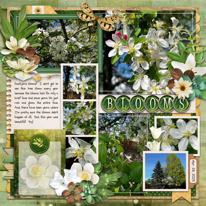 Blooms