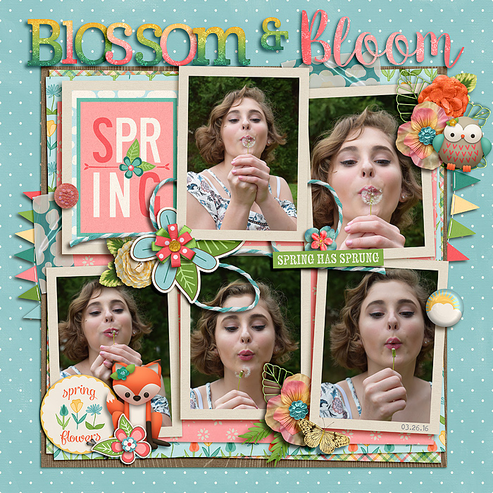 Blossom & Bloom