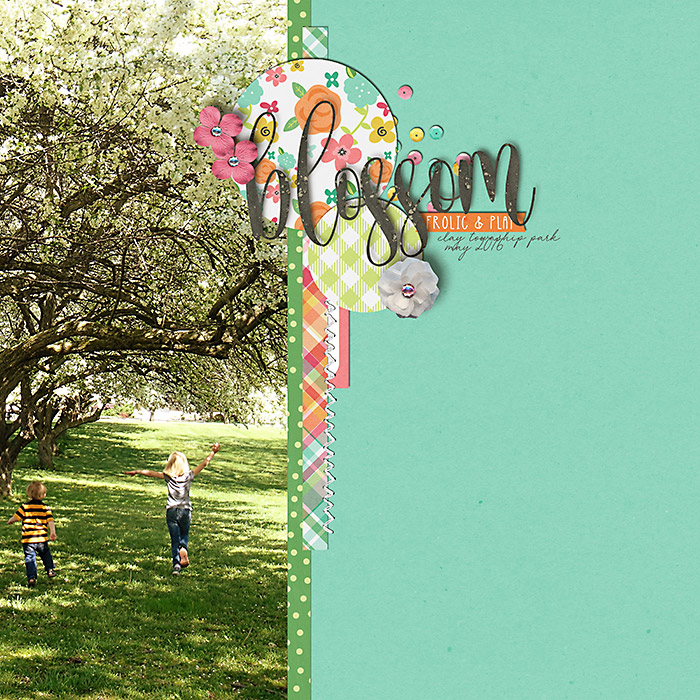 Blossom