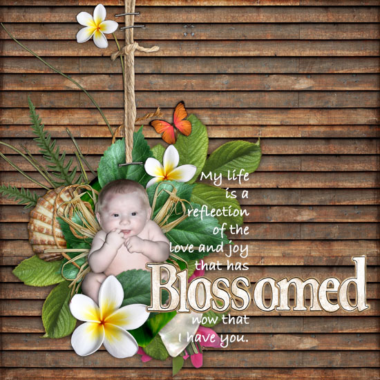 Blossomed Reflection