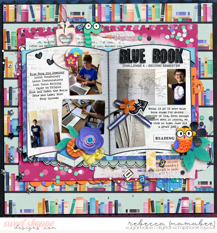 Blue Book exam