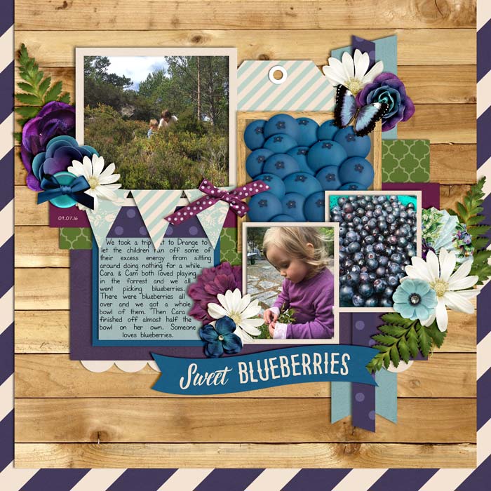 Blueberries