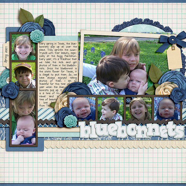 Bluebonnets