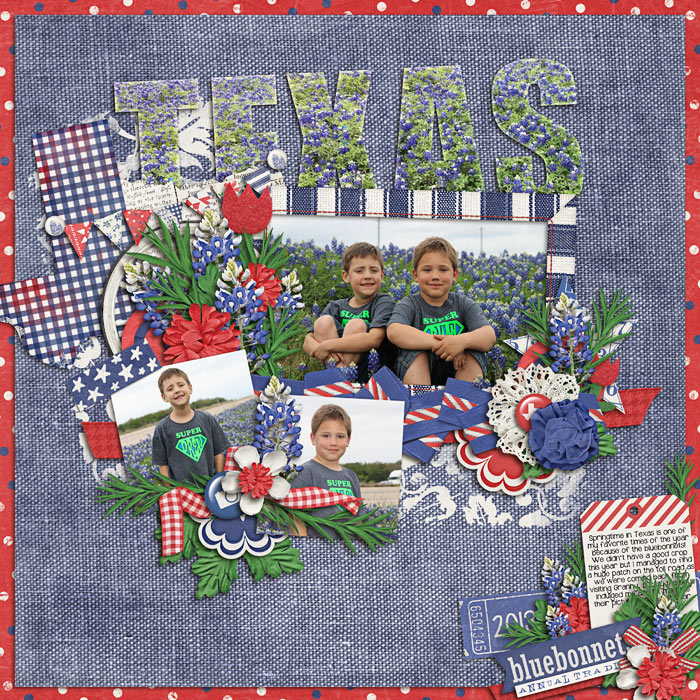 Bluebonnets