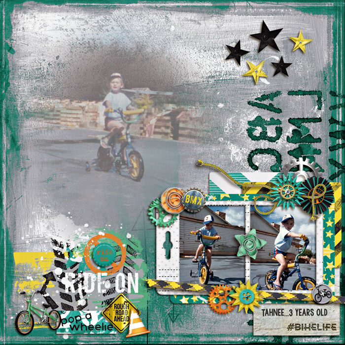 BMX Trainer
