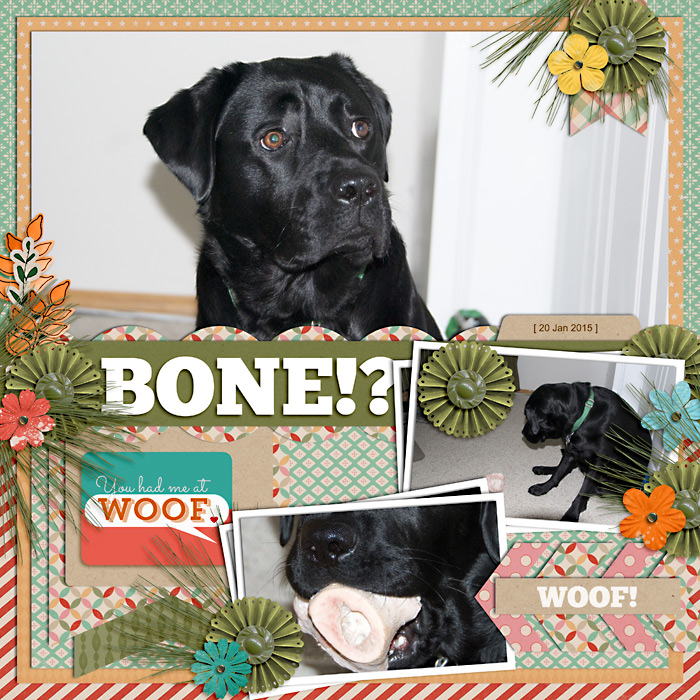 Bone!?