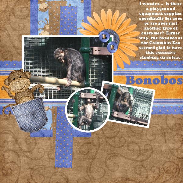 Bonobos