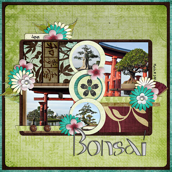 Bonsai