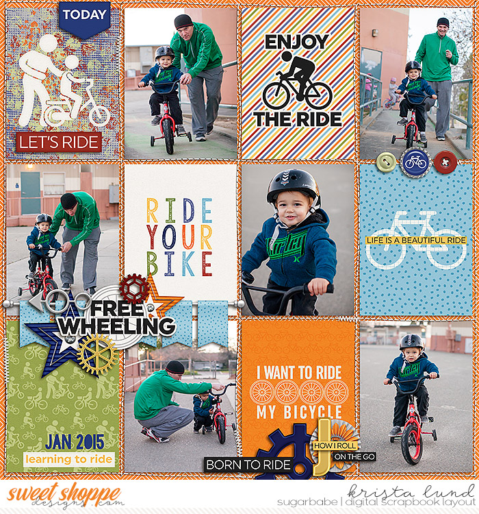 Born to Ride 2015