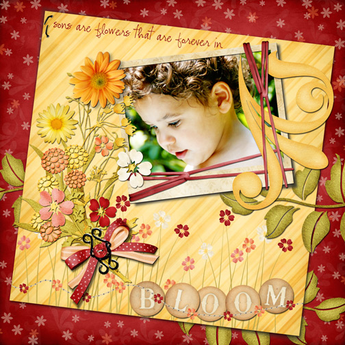Boy Blooms