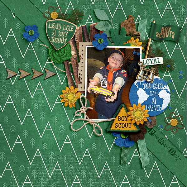 Boy Scout