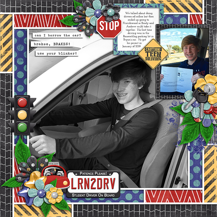 Brady's permit