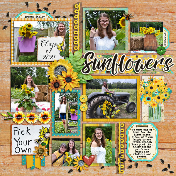 Brenna & the Sunflowers