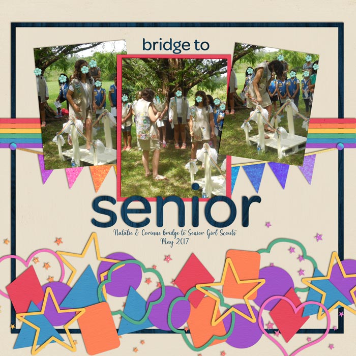 Bridge to Senior