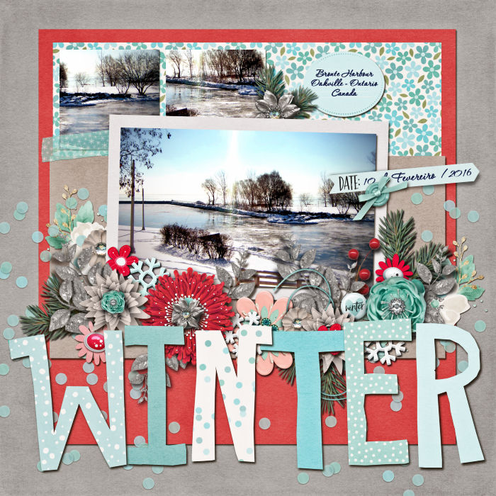 Bronte Harbour - Winter 2016