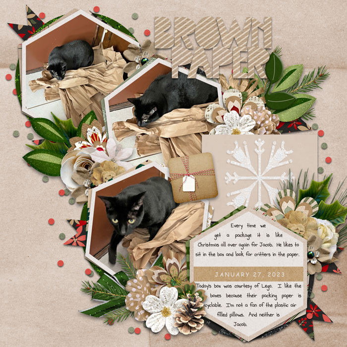 Brown Paper