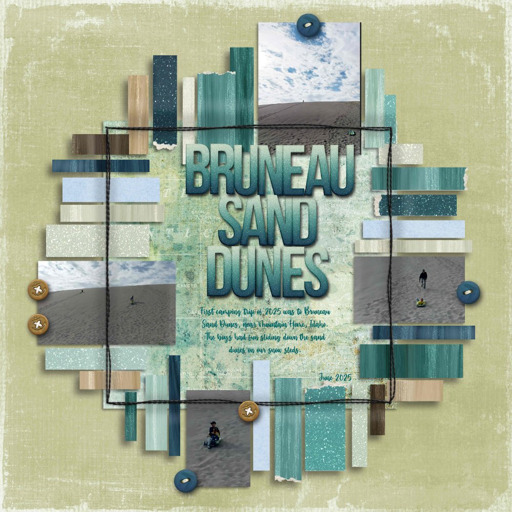 Bruneau Sand Dunes