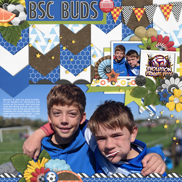 BSC Buds