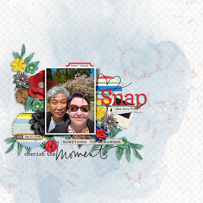 BSnap Shot