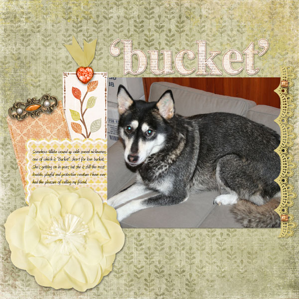 'Bucket'