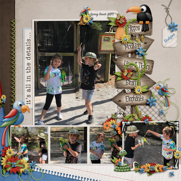 Budgies