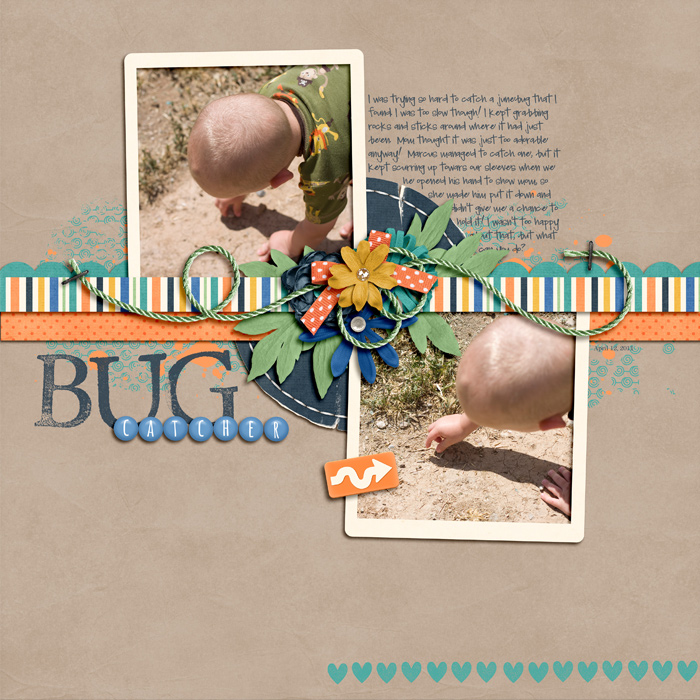 Bug Catcher