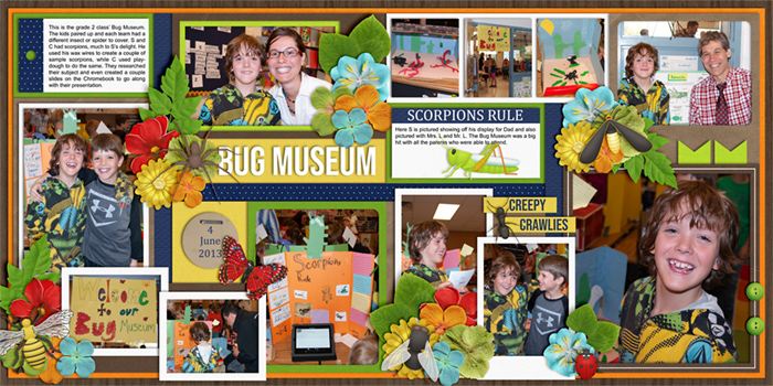 Bug Museum