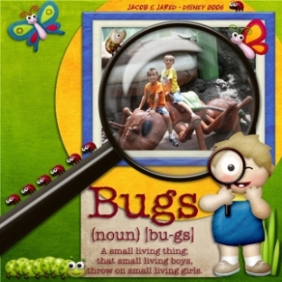 Bugs Defined