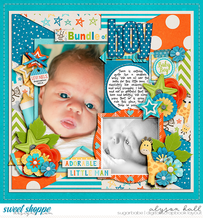 Bundle of Boy