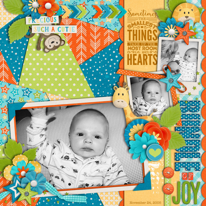 Bundle of Joy