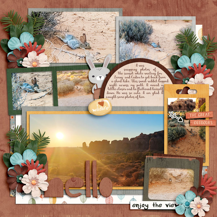 Bunny in Arches
