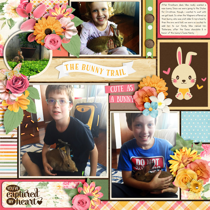 Bunny Love