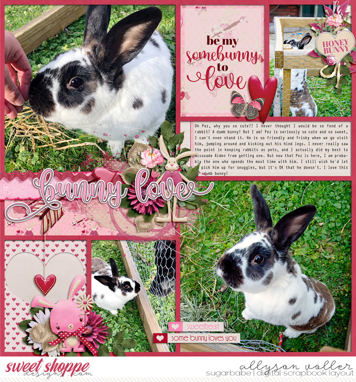 Bunny Love