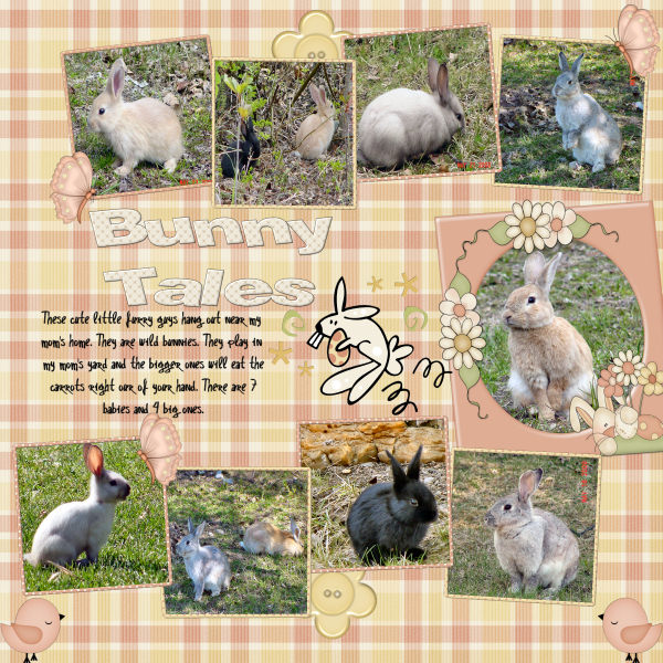 Bunny Tales